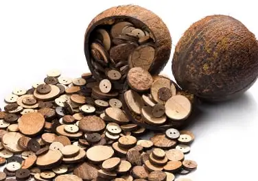 Coconut buttons spilling out of a coconut shell