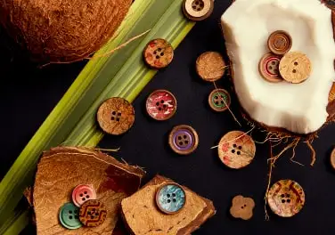 Coconut buttons with pieces of shell and a palm leaf