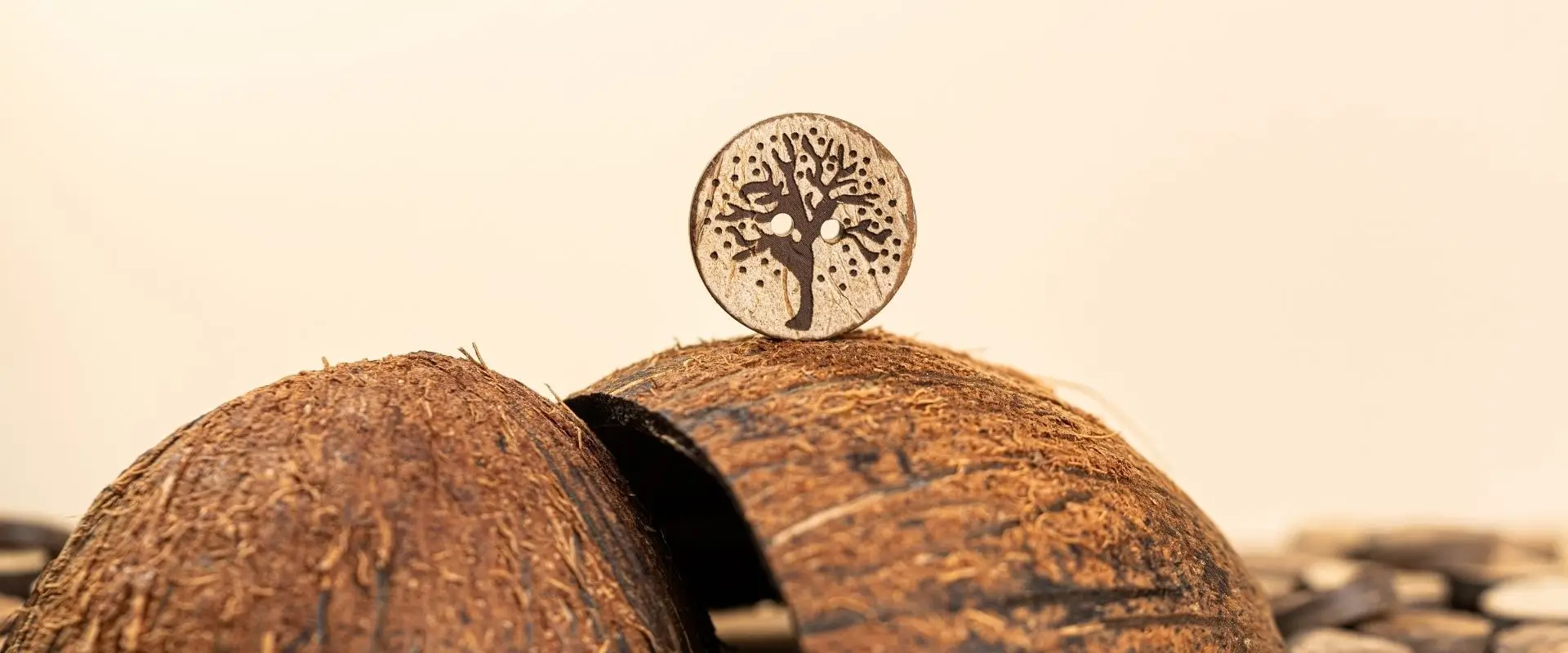 Coconut buttons, product photograph