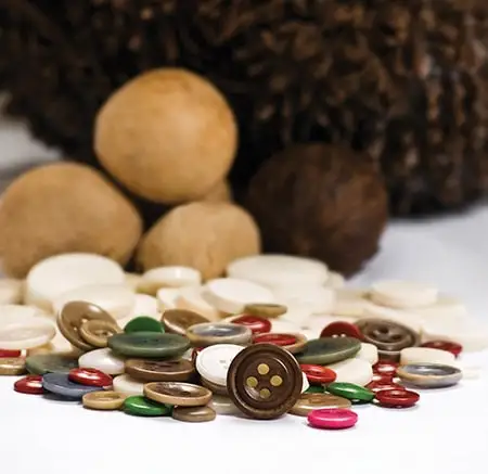 Corozo buttons in many colours in front of tagua nuts