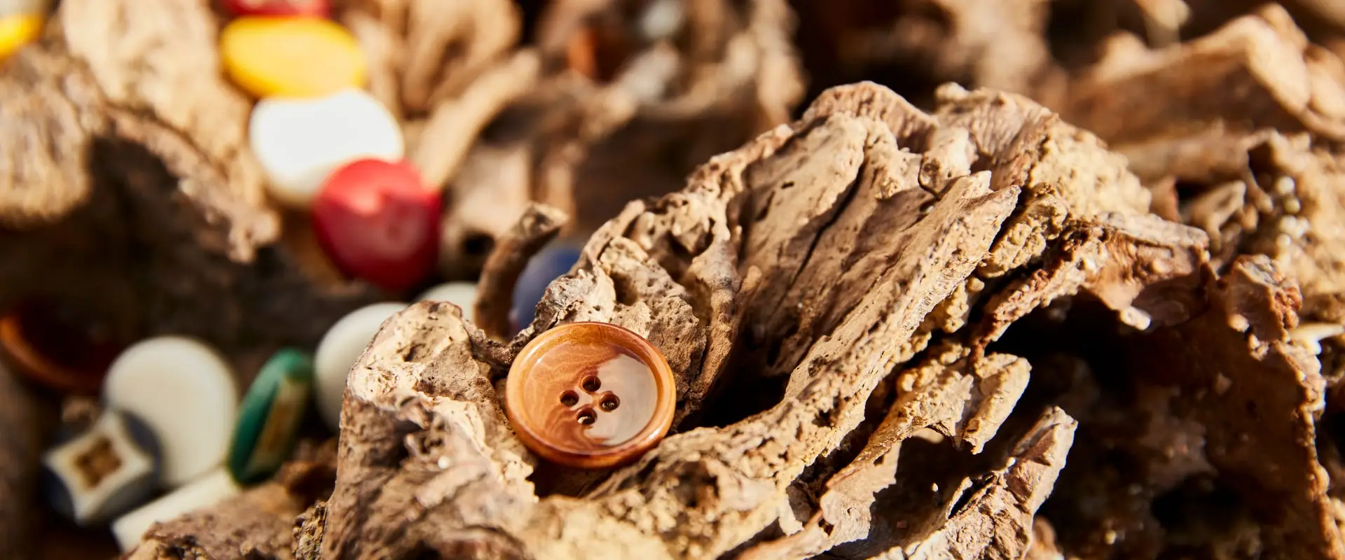 Buttons in many colours among dried bark and seeds