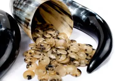 Horn buttons spilling from a polished horn