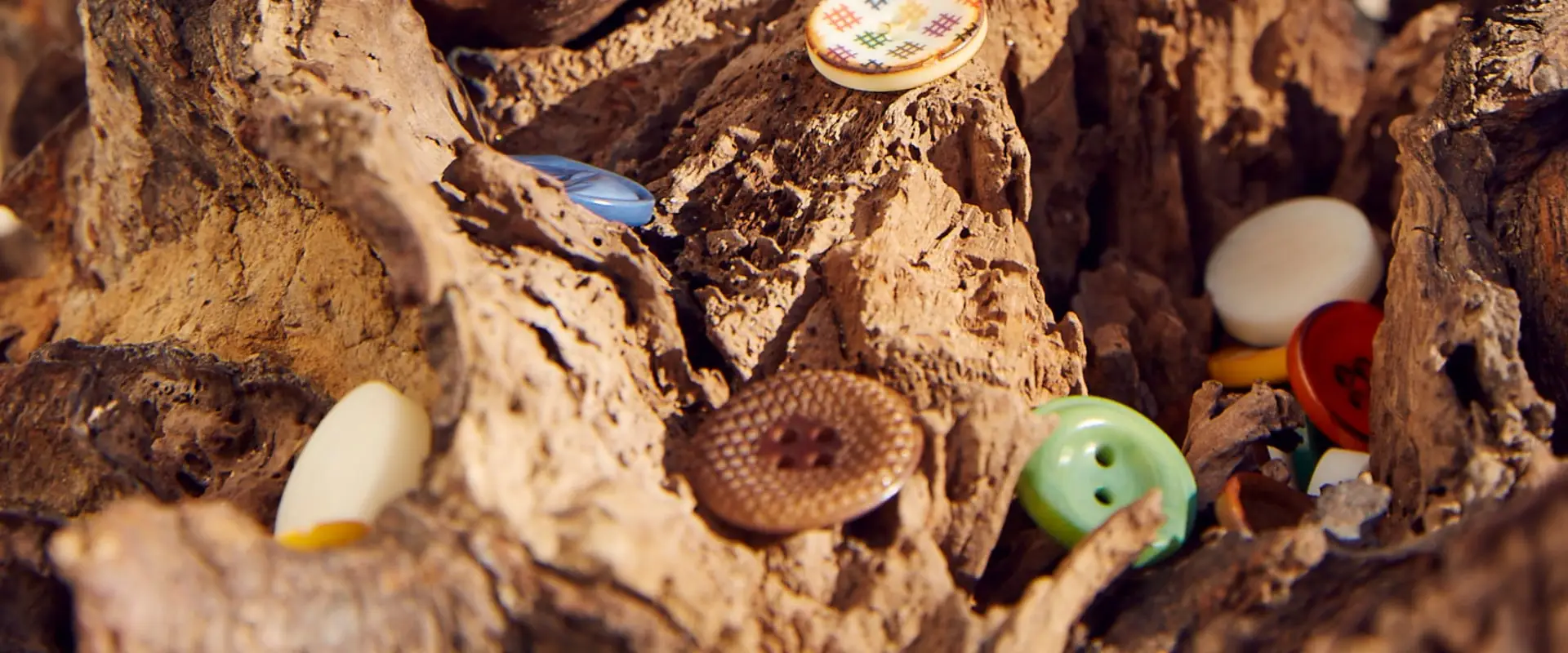 Buttons in many colours among dried bark