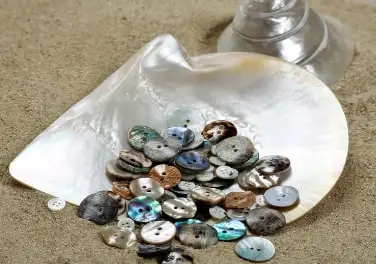 Mother-of-pearl buttons inside an open shell