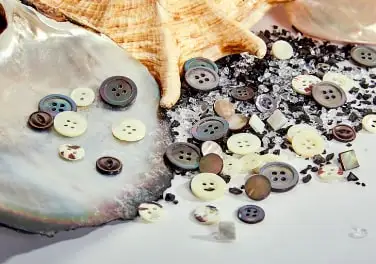Shell buttons scattered across a mother-of-pearl shell